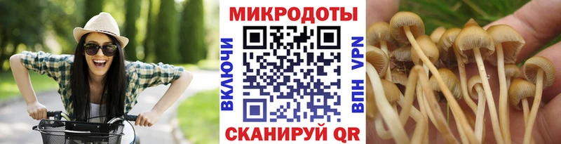 Псилоцибиновые грибы прущие грибы  Вуктыл 